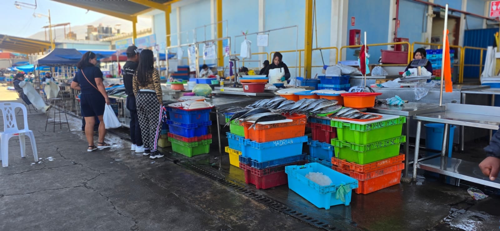 Precio del jurel se duplica en el terminal pesquero de Cero Colorado (Foto: Omar Cruz/@photo.gec)