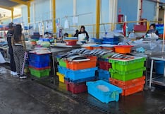 Oleaje reduce en 40 % el ingreso de productos marinos en Arequipa (VIDEO)