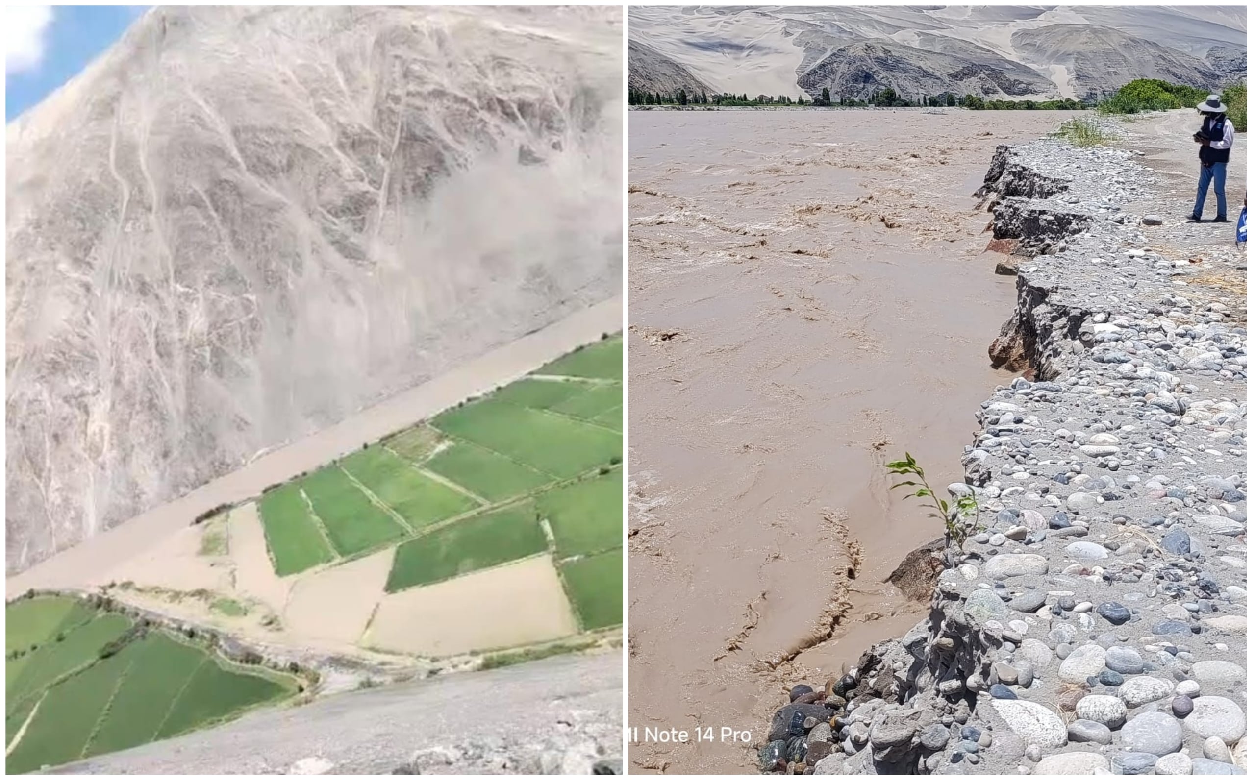 Desborde de río Ocoña inunda cultivos de arroz en el sector Anchalo (Foto: Difusión)