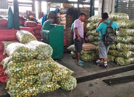 El Niño Costero: siete consejos para proteger la alimentación familiar ante lluvias y huaicos