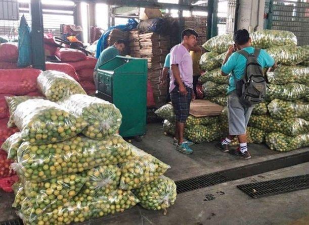 El 30,5 % de la población peruana enfrentó inseguridad alimentaria moderada o grave en 2025, según el INEI. Un especialista recomienda preparar una despensa nutritiva ante posibles inundaciones, huaicos y problemas de abastecimiento. (Foto: Andina)