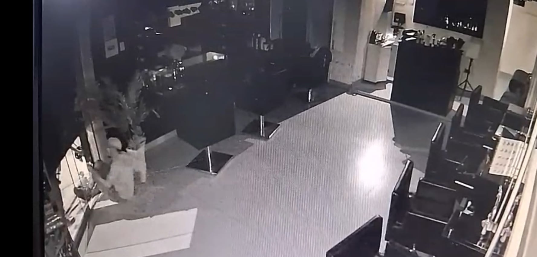 Agentes de Seguridad Ciudadana de Trujillo lo sorprendieron en el interior del negocio.