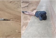 Ica: hallan a “pepeados” en descampados, y les robaron hasta las zapatillas