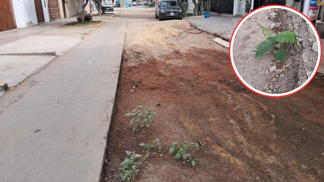 Trabajadores de la MPT que parchaban pistas dejaron de laborar en diciembre de 2024, porque una tubería de alcantarillado colapsó y Sedalib, según el alcalde, no realizó los cambios en la red.