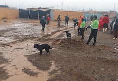 Tacna: Huaico afecta carretera Costanera Sur y pueblo de Morro Sama