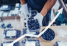 ICATEC: el proyecto que conecta el crecimiento de Ica con servicios públicos modernos y accesibles