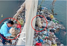 Ica: serenazgo rescata a perrito que cayó al canal de La Achirana en Los Aquijes