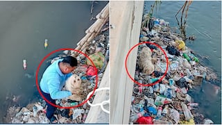 Ica: serenazgo rescata a perrito que cayó al canal de La Achirana en Los Aquijes