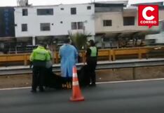 SJM: Hombre muere atropellado por camioneta que huyó del lugar en la Panamericana Sur