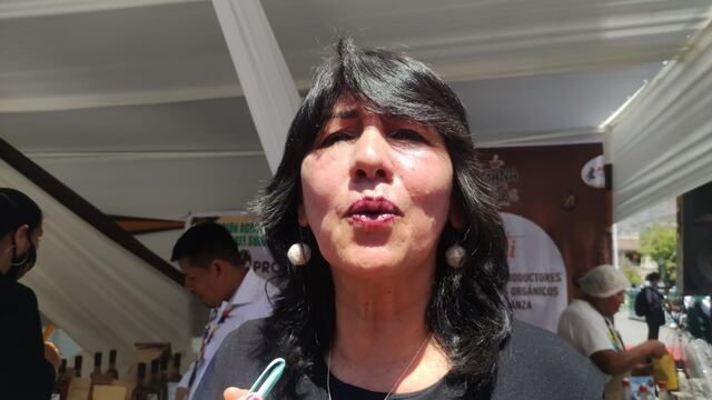 Ayacucho: Vicegobernadora insiste en que fue excluida en GRA