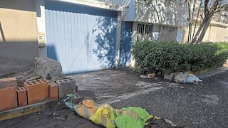 Arequipa: Viviendas inundadas por rotura de tubería matríz en Socabaya