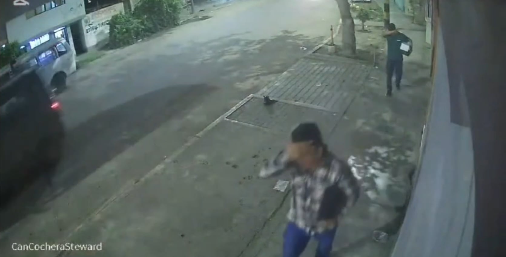 Cámara de videovigilancia captó accionar en la avenida Pedro Muñiz.