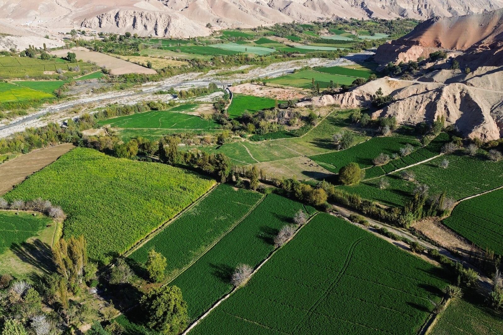 El proyecto potenciará el desarrollo agrícola de los pueblos del sur y mayores divisas al país. (Foto: Difusión)