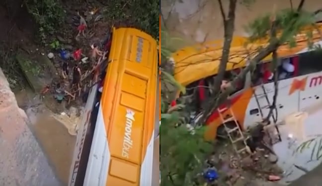 El vehículo que viajaba de Pucallpa a Tarapoto terminó en el fondo de la quebrada Shitary, en el distrito de Campanilla. Vecinos del caserío El Triunfo participaron en el rescate de los heridos. (Imágenes de América Noticias)