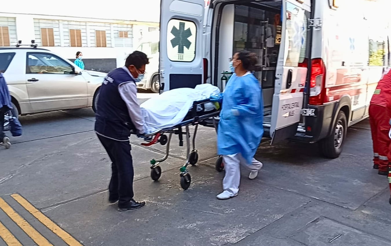 Arequipa: adolescente de 15 años muere tras sufrir mordedura de araña en Chivay