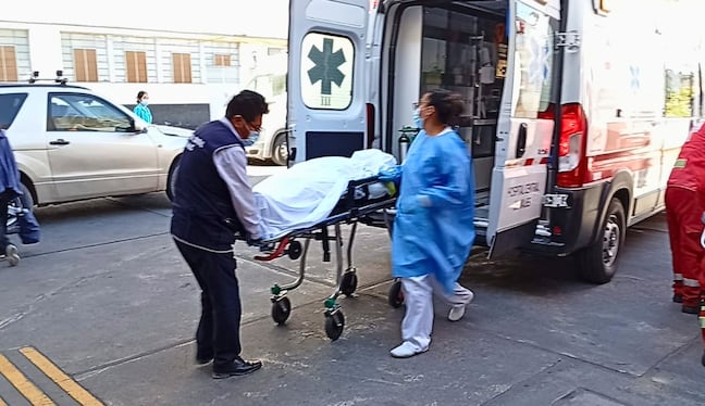Adolescente de 15 años muere tras sufrir mordedura de araña en Chivay Foto: GEC archivo.