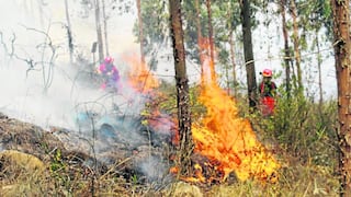 ¡Alarma!: ola de calor propaga incendios forestales en Junín