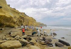 Gobernador de Piura informó que buscan mitigar el impacto de derrame de petróleo en Lobitos