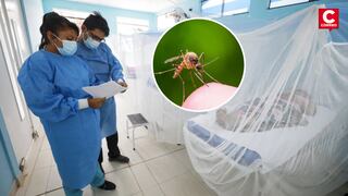 Dengue en Junín: En menos de dos meses  672 lo contrajeron y 2 fallecieron 