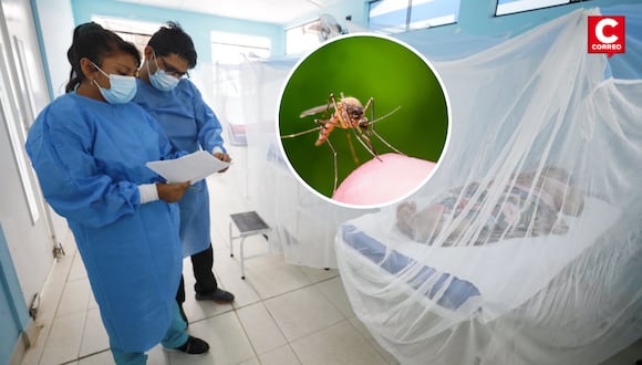 Minsa advierte que casos de contagio de dengue superaron los 18 mil.