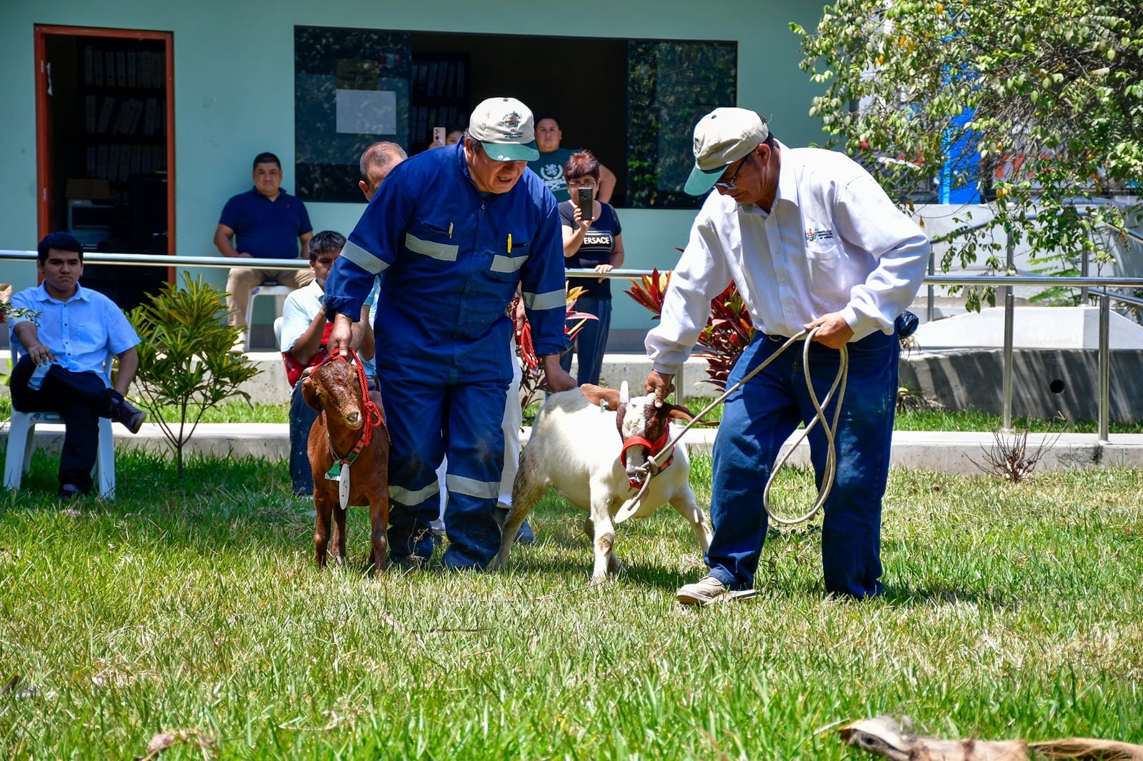 Evento organizado por la gerencia de Agricultura se convirtió en un espacio para conocer, aprender y fortalecer la producción caprina en nuestra región.
