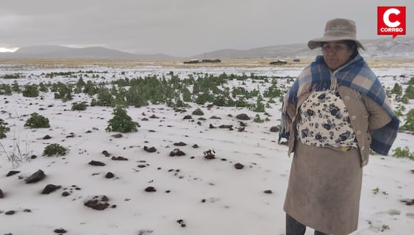 Granizada destruye cientos de hectáreas de cultivos en Puno