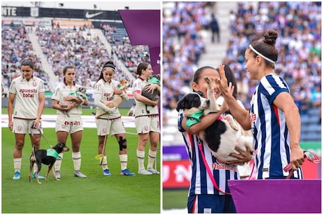 Liga Femenina: perritos rescatados protagonizaron el clásico entre Alianza Lima y Universitario