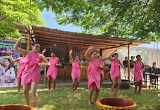 Pisco tendrá su propia Vendimia oficializada por el Gobierno Regional de Ica