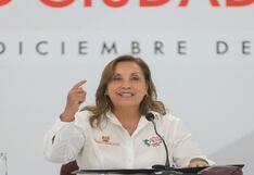 Dina Boluarte asegura que delincuentes nacionales y extranjeros “muy pronto van a caer”