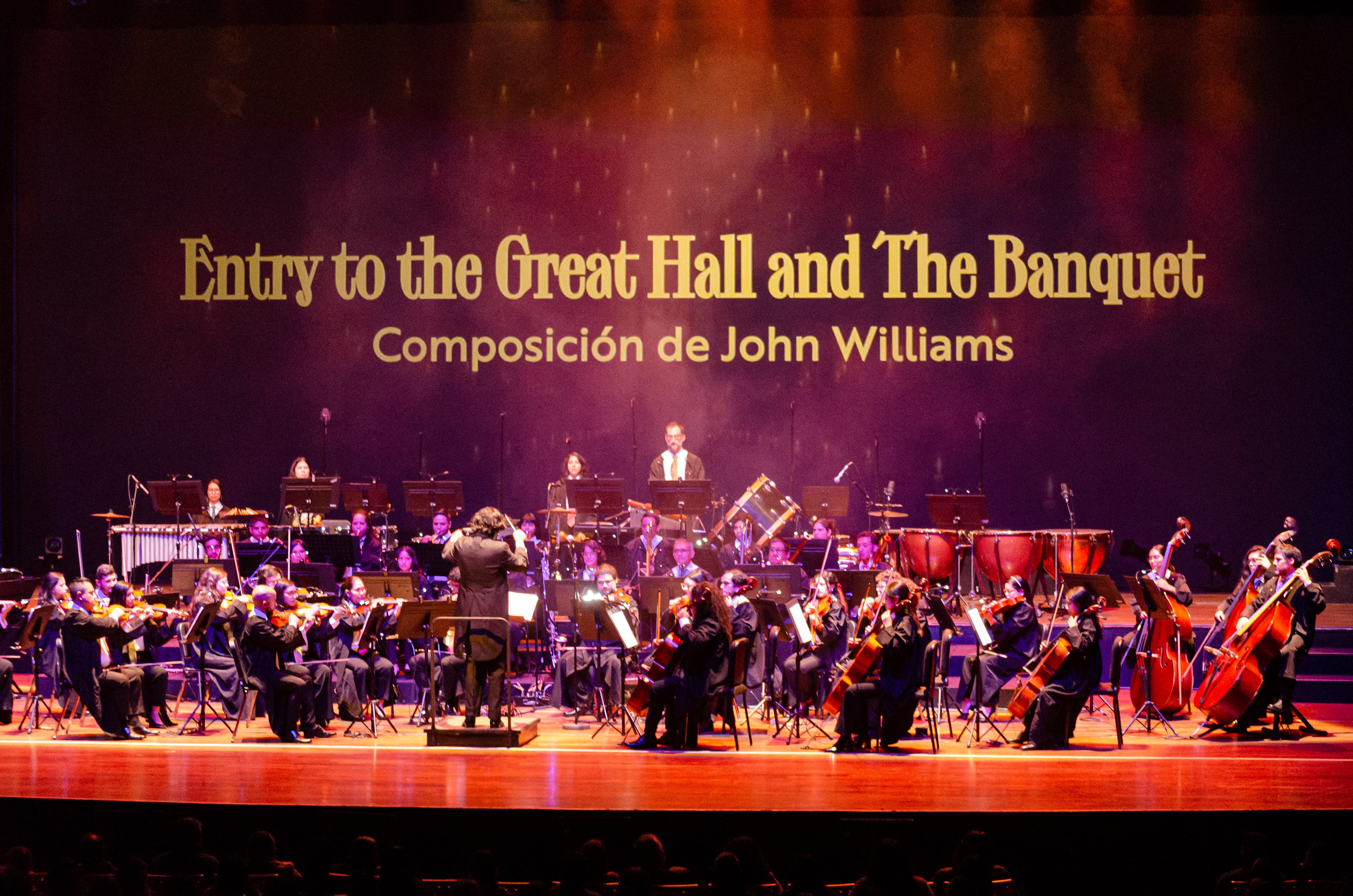Más de 40 músicos interpretarán piezas de John Williams, Patrick Doyle y Alexandre Desplat en un concierto sinfónico con luces, visuales e interacción con el público.