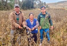 Junín: Seguro Agrícola Catastrófico ofrece subvención de 800 soles por hectárea perdida