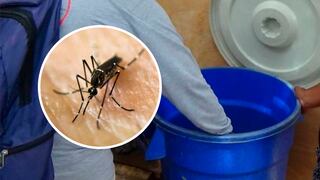 Alerta por dengue: ¿Cómo prevenirlo?