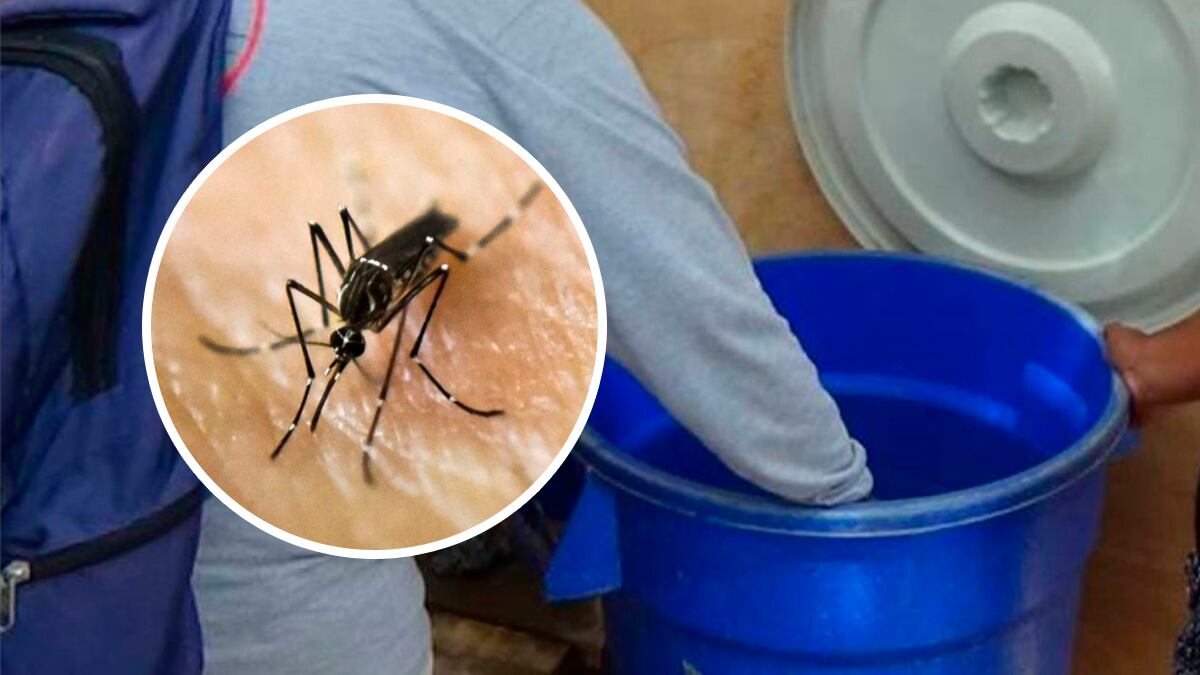 No se transmite de persona a persona, sino por la picadura de un mosquito.