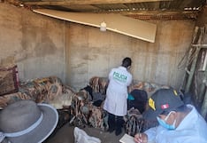 Arequipa: Intervienen laboratorio clandestino donde hacían PBC