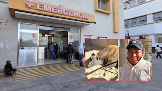 Arequipa: preparador de toros resulta grave tras ser corneado (VIDEO)