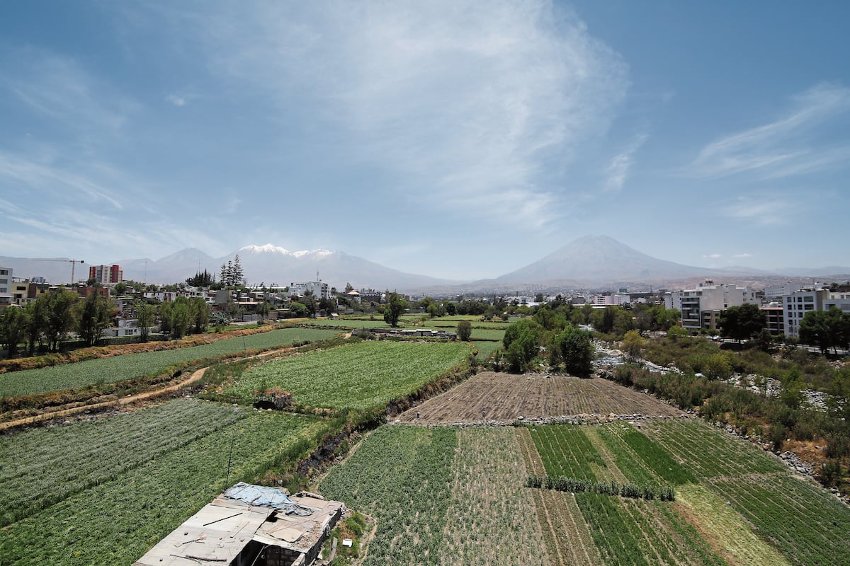 El Impla pide derogar la ordenanza que protege las tierras agrícolas. (Foto: GEC)