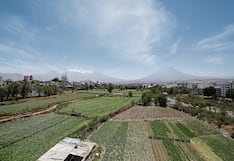 Arequipa: Impla pide al Consejo Regional derogar la ordenanza que protege las tierras agrícolas