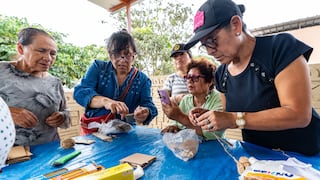 Trujillo: Clausuran talleres que revalorizan el algodón nativo cultivado en Chan Chan