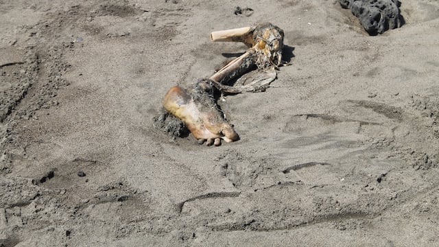 Turista halla pierna humana en balneario de Huanchaco 