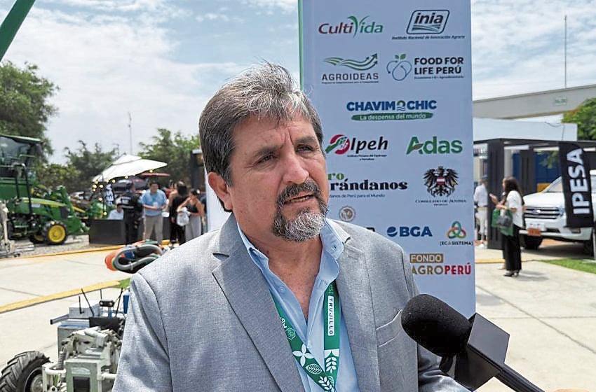 Yuri Armas: "El sector privado no puede reemplazar los roles del Estado"