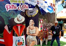 Grandes espectáculos por Fiestas Patrias en la feria de la Pitri Mitri