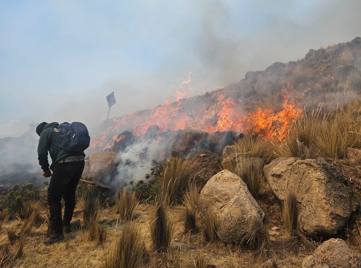 Liquidan incendio forestal ene l distrito de Toro, porvincia La Unión (Foto: Jonatan Álvaro)