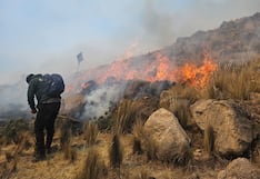 Arequipa: liquidan el incendio forestal en Toro, luego de 3 días de trabajo