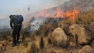 Arequipa: liquidan el incendio forestal en Toro, luego de 3 días de trabajo