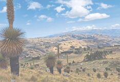 La Libertad: Declaran de interés la preservación de la Puya Raimondi
