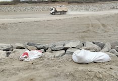 Ica: denuncian abandono de vísceras de cerdos en sectores del distrito de La Tinguiña