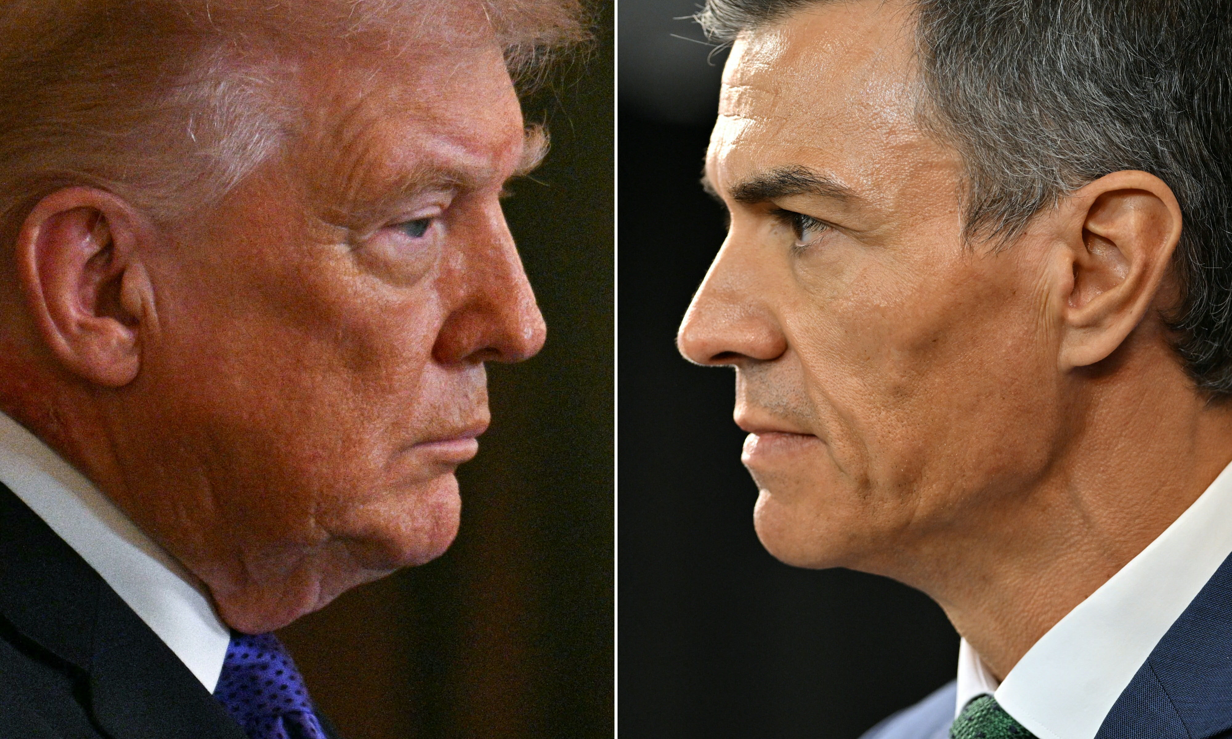 Donald Trump y Pedro Sánchez. (Fotos: Jim Watson y Santiago Mazzarovich / AFP).