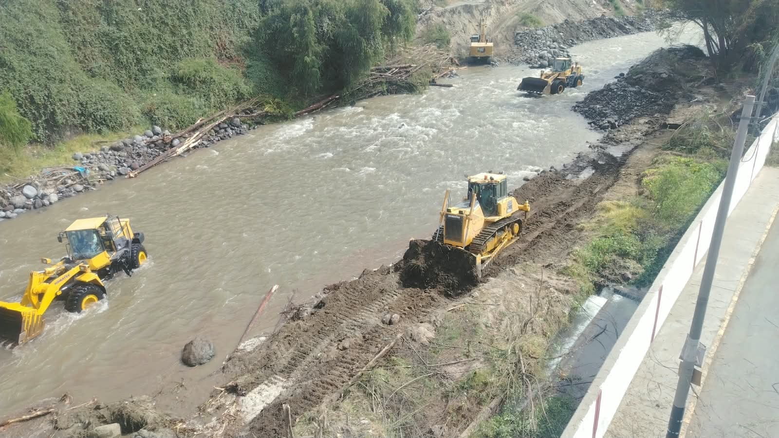Municipalidad de Arequipa admite que derribaron árboles en el río Chili por plan ante El Niño