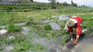 Intensas lluvias afectan casas y cultivos al interior del país