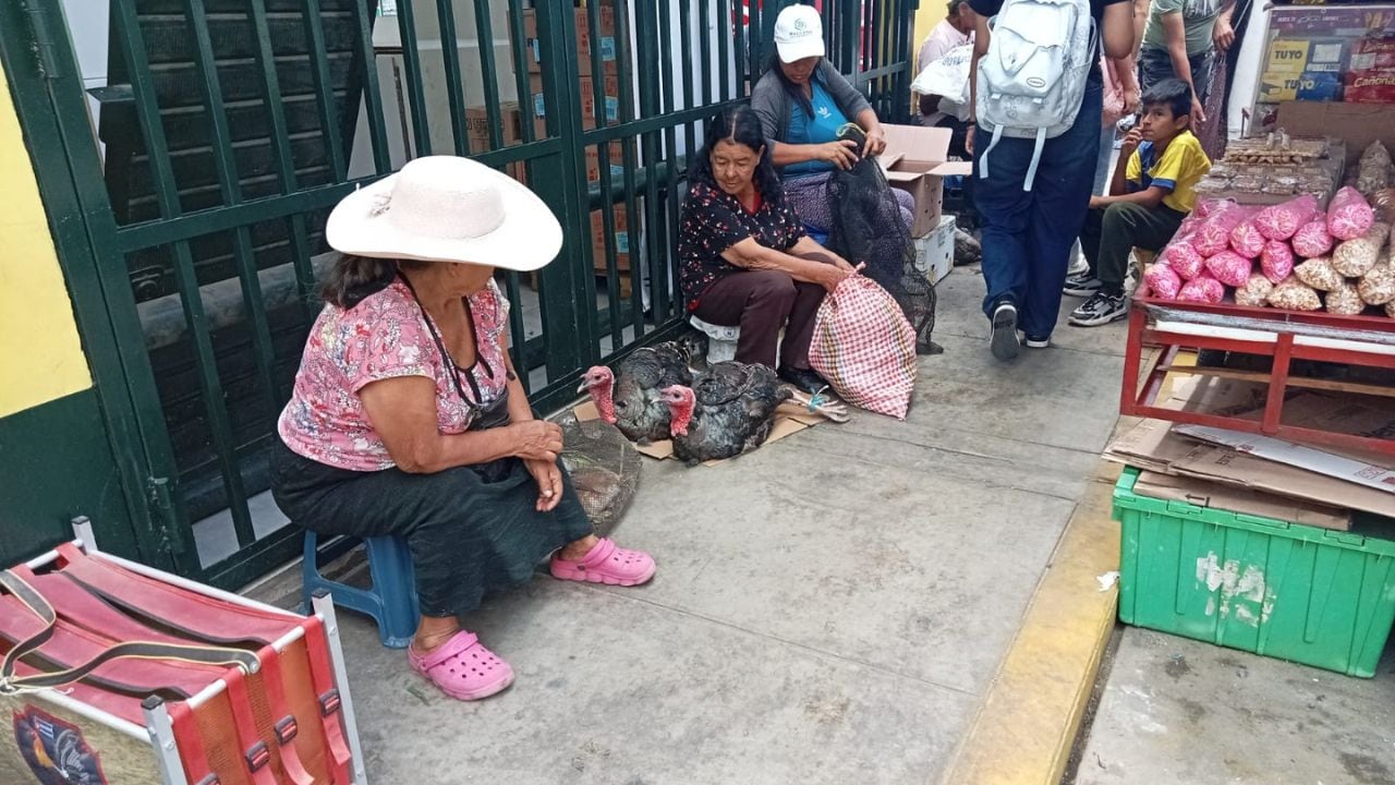 Comerciantes de la ciudad de Trujillo indicaron que el precio de esta ave podría incrementarse a tres días de la Navidad.